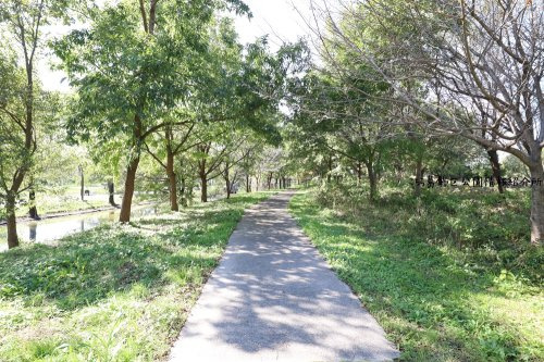 【公園】水辺のさとまで1026ｍ