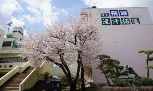 【中学校】幸手市立西中学校まで1349ｍ