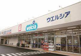 【ドラッグストア】ウエルシア杉戸倉松店まで421ｍ