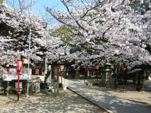 【文化財】高津公園まで1443ｍ