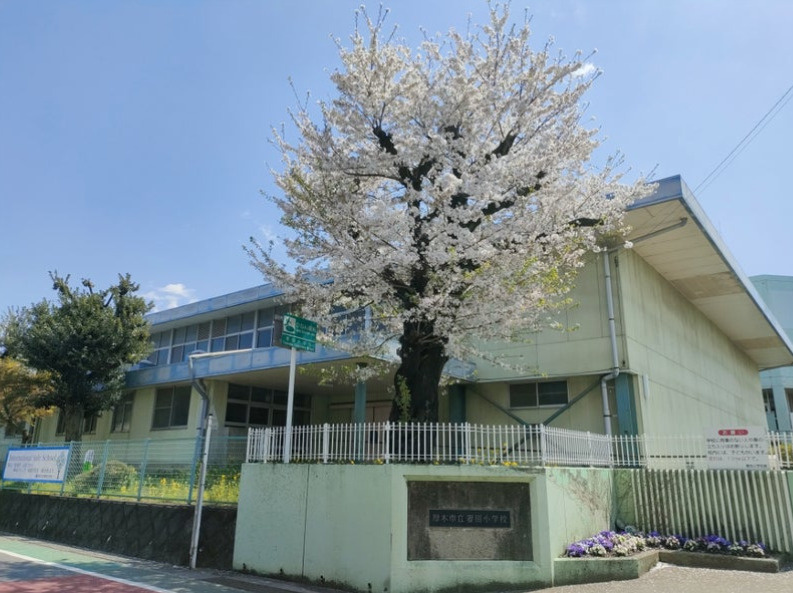【小学校】厚木市立妻田小学校まで450ｍ