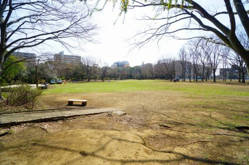 【公園】茅ケ崎市　中央公園まで1050ｍ