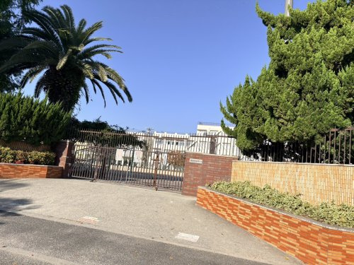 【小学校】広島市立南観音小学校まで448ｍ