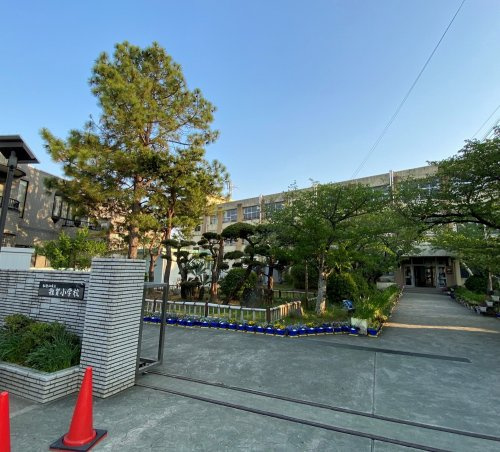 【小学校】雑賀小学校まで605ｍ