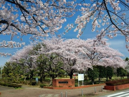 【公園】早稲田公園まで410ｍ