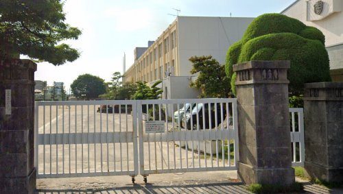 【小学校】江南市立古知野南小学校まで248ｍ