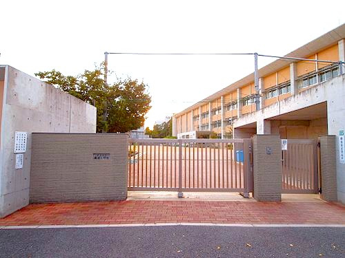 【小学校】芦屋市立精道小学校まで809ｍ