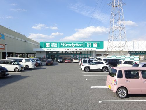 【ドラッグストア】エバグリーン　神楽店まで1175ｍ