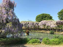 【公園】大天白公園　まで104ｍ