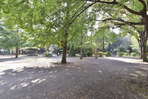 【公園】練馬区立高稲荷公園まで512ｍ