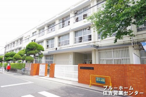 【小学校】大阪市立南田辺小学校まで320ｍ