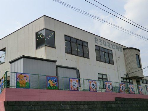 【幼稚園】厚木たちばな幼稚園まで734ｍ