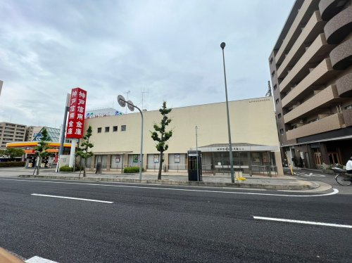 【銀行】神戸信用金庫東灘支店まで295ｍ