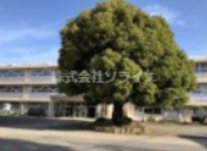 【小学校】所沢市立清進小学校まで488ｍ