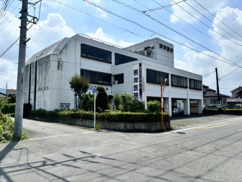 【内科】根岸医院まで497ｍ