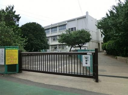 【小学校】保谷小学校まで770ｍ