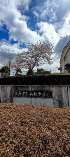 【中学校】多摩市立鶴牧中学校まで1254ｍ