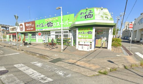【スーパー】めぐみの郷　枝吉店まで303ｍ