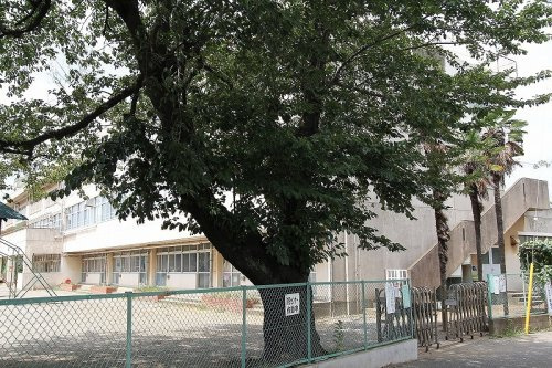 【小学校】東久留米市立第二小学校まで700ｍ