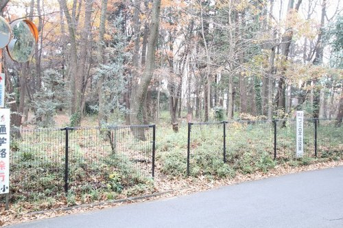 【公園】金山森の広場まで650ｍ