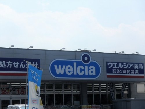 【ドラッグストア】ウエルシア　東川口店まで613ｍ