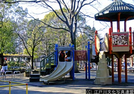【公園】中央森林公園まで204ｍ