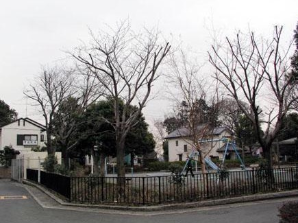 【公園】くすのき公園まで1366ｍ