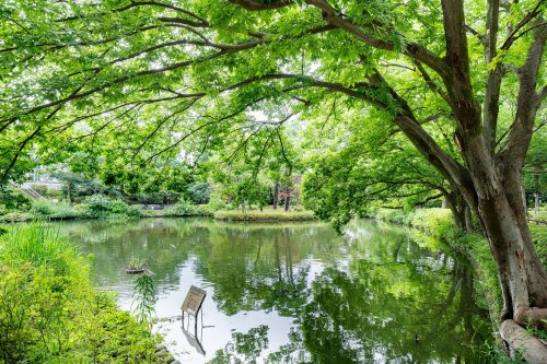 【公園】妙正寺公園まで150ｍ