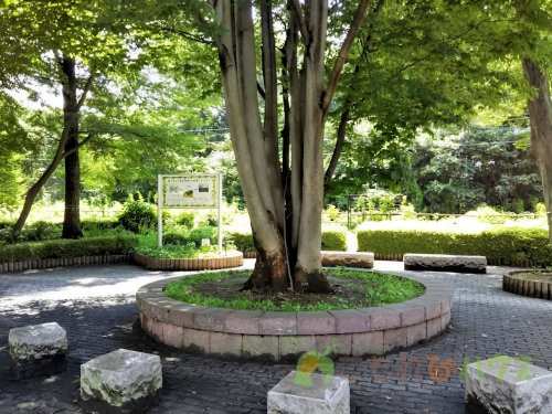 【公園】北本中央緑地まで1258ｍ