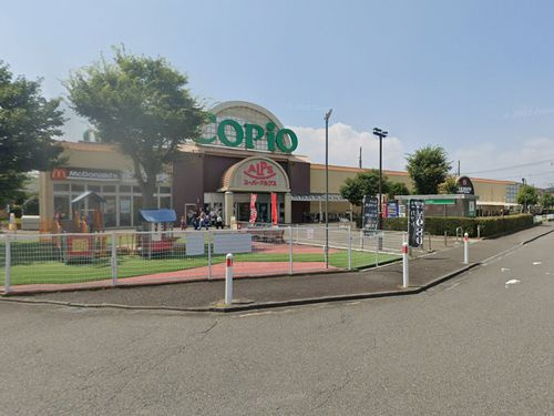 【ショッピングセンター】　コピオ城山店まで1206ｍ