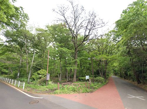 【公園】相模原中央緑地まで2413ｍ