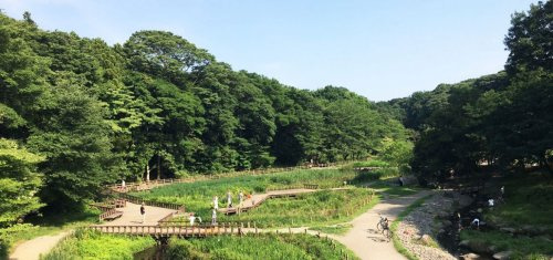 【公園】泉の森まで872ｍ
