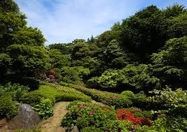 【公園】池田山公園まで296ｍ