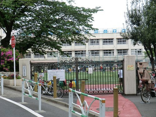 【小学校】渋谷区立富谷小学校まで337ｍ