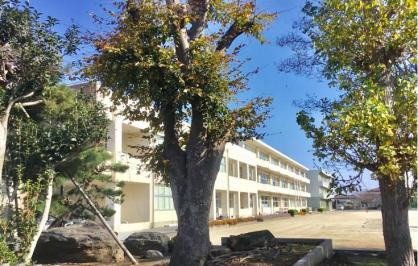 【中学校】水戸市立第三中学校まで2105ｍ