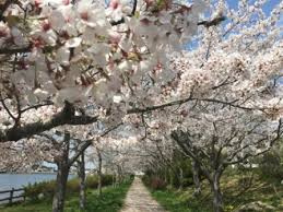 【公園】桜道公園まで5934ｍ