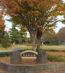 【公園】若松町公園まで807ｍ