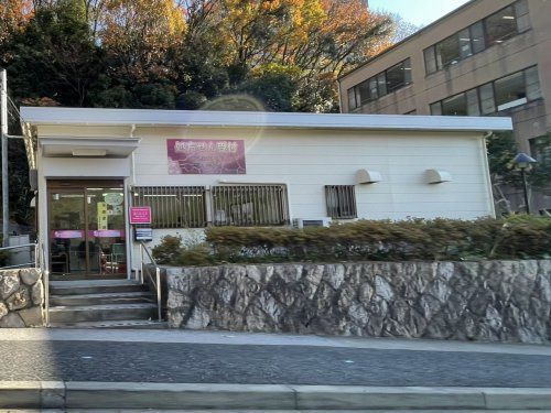 【ドラッグストア】なでしこ薬局鶴甲店まで592ｍ