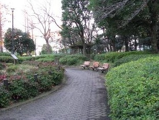【公園】目黒区民センター公園まで563ｍ
