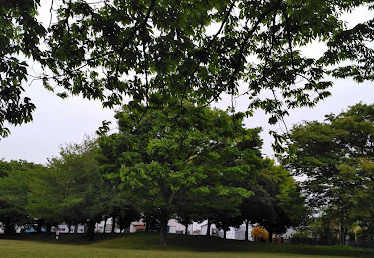 【公園】さつきヶ丘公園まで1783ｍ