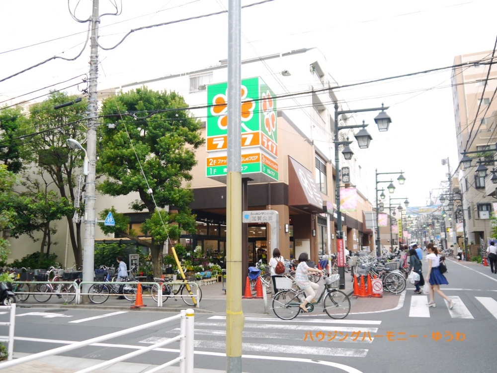 【ショッピングセンター】ライフ　仲宿店まで546ｍ