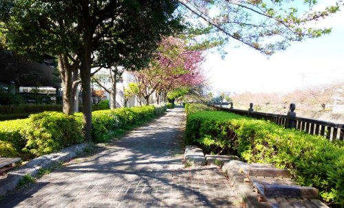 【公園】武蔵野の路まで1024ｍ
