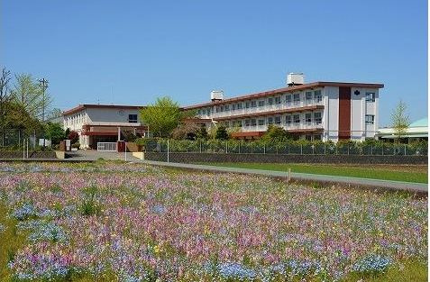 【中学校】三島市立中郷西中学校まで302ｍ