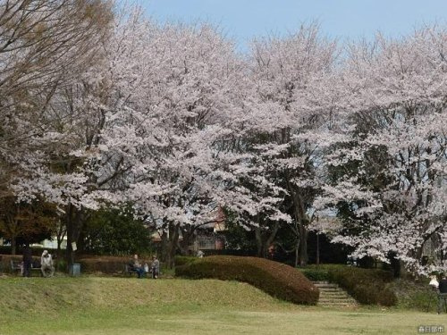 【公園】四方谷第1公園まで2189ｍ
