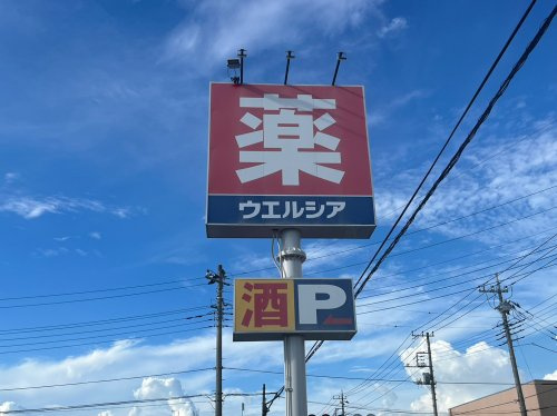 【ドラッグストア】　ウエルシア熊谷赤城店まで768ｍ