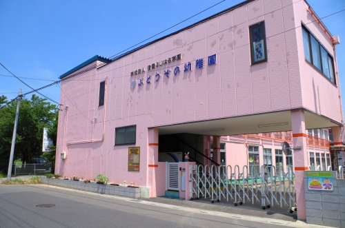 【幼稚園】ぶどうぞの幼稚園まで1081ｍ