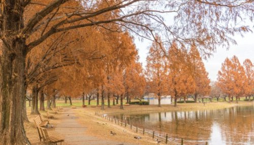 【公園】府川公園まで45ｍ