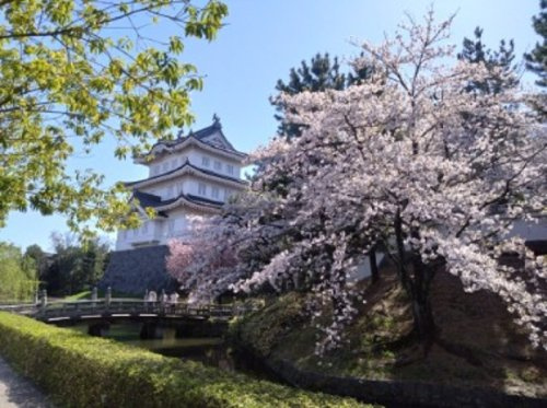 【博物館】忍城・行田市郷土博物館まで1200ｍ