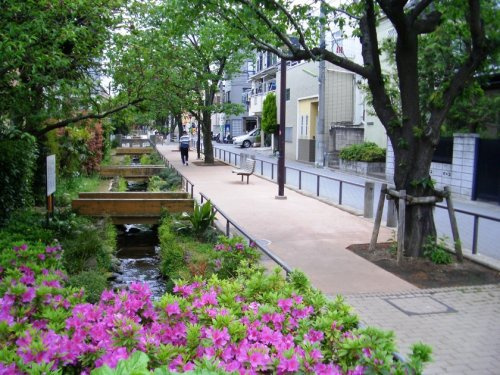 【公園】北沢川緑道まで459ｍ