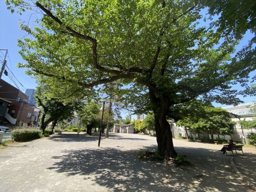 【公園】上池袋さくら公園まで318ｍ